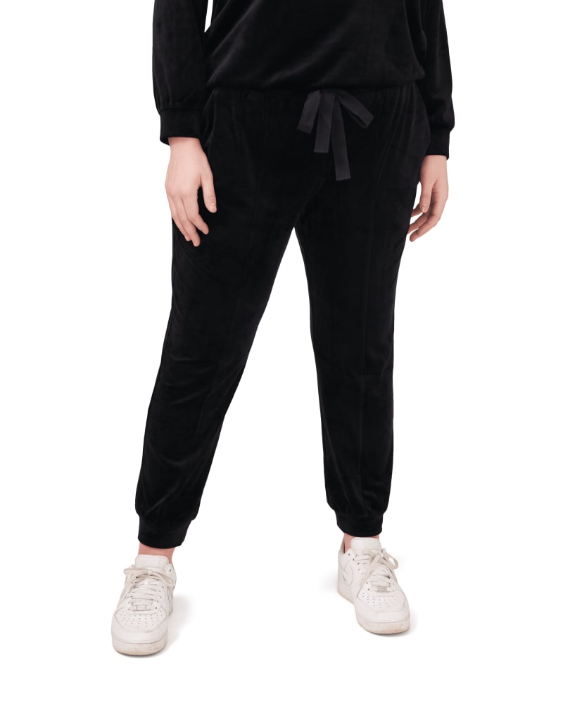 Front of a model wearing a size 0X Evelyn Velour Drawstring Joggers in RICH BLACK by 1.State. | dia_product_style_image_id:262554